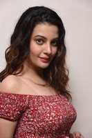 Diksha Panth Photo Pics
